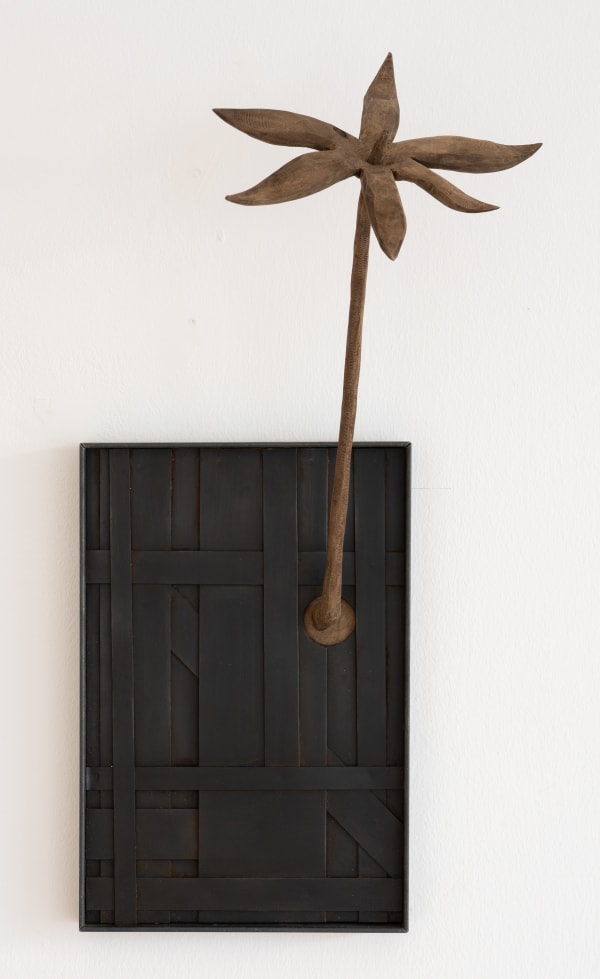 Salvatore Pione, L’Irreparabile, 2024