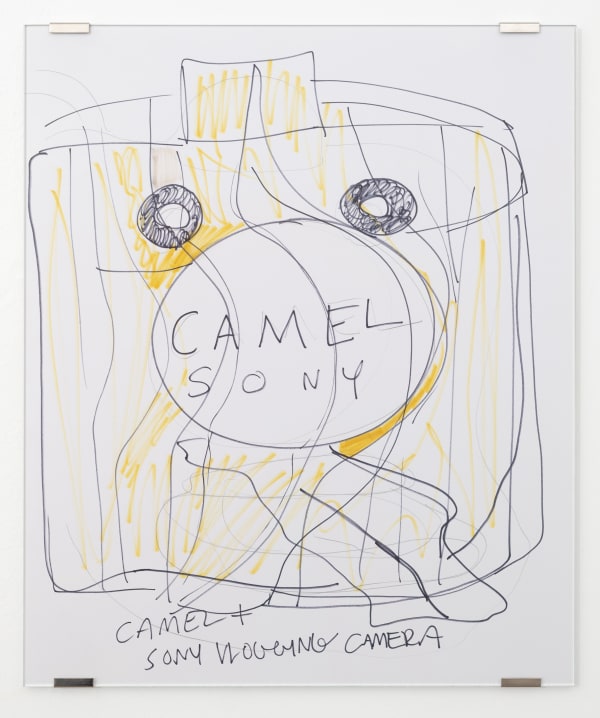 LeRoy Stevens, Camel Sony, 2024