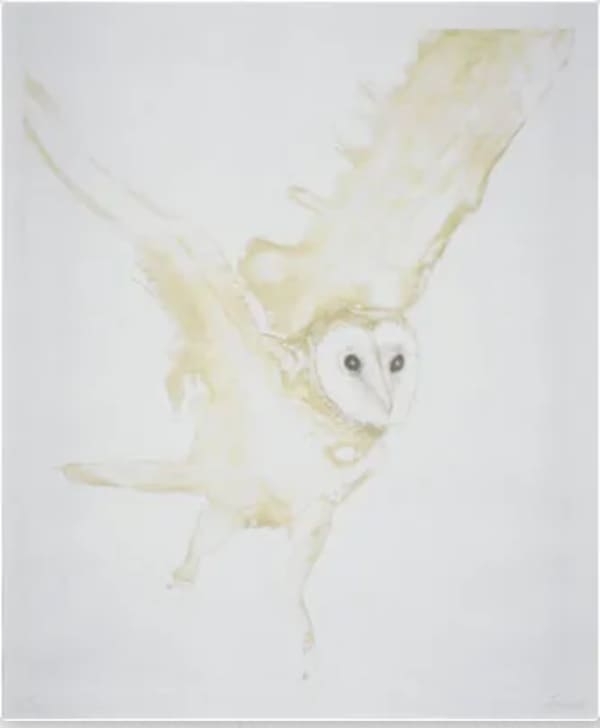 Elisabeth Frink, Young Barn Owl (1977)