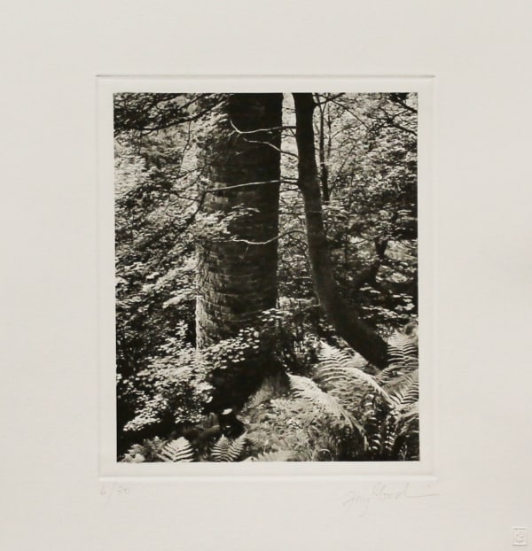 Fay Godwin, Remains of Elmet III, 1994