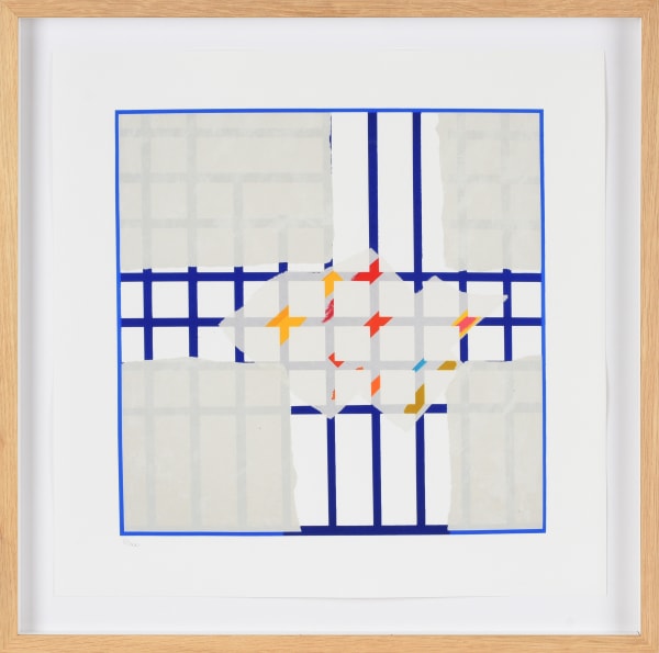 Sandra Blow, Colour Interweave - digital edition