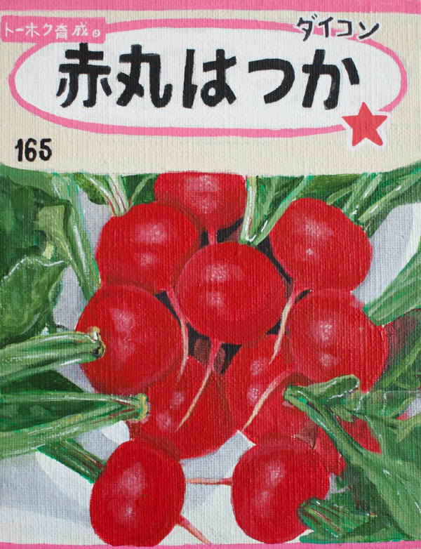 Renée Abaroa, シード 6, 2024