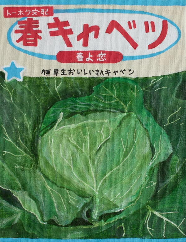 Renée Abaroa, シード 006, 2024