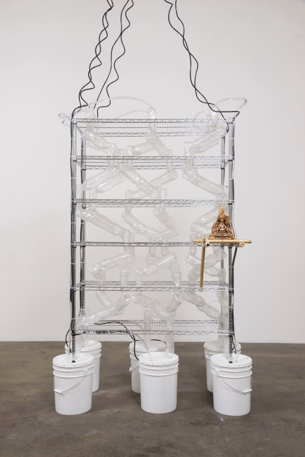 Joel Kyack, The Body is a Glass House, 2016