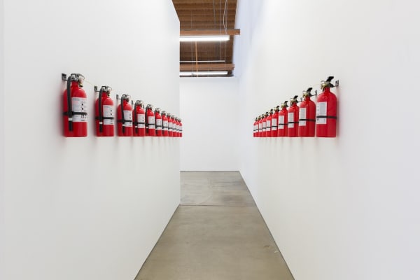 Davide Balula, One Fire Extinguisher, One Artist, 2014