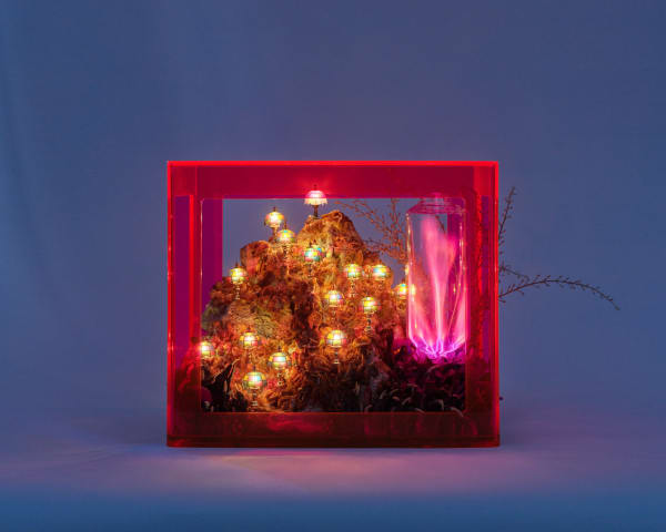 Max Hooper Schneider, Nuclear Hamlet, 2022