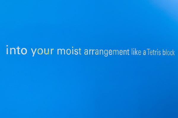 Kameelah Janan Rasheed, an accretion made a mistake (into your moist arrangement), 2018