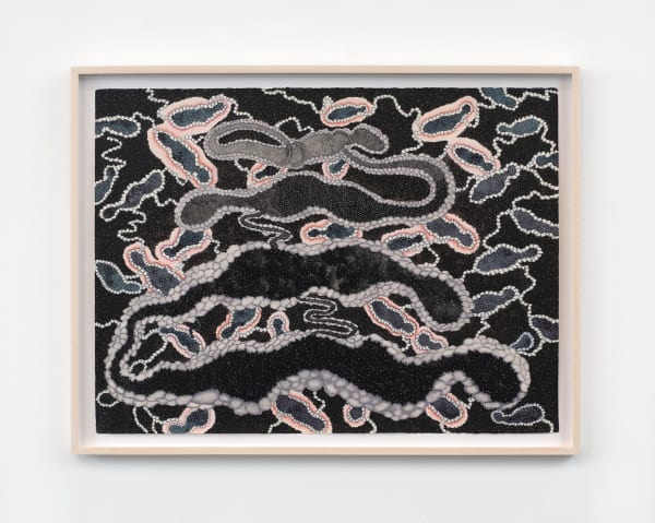 Ann Leda Shapiro, Soul Bodies, 1993