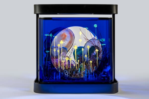 Max Hooper Schneider, BENTHIC SIREN, 2023