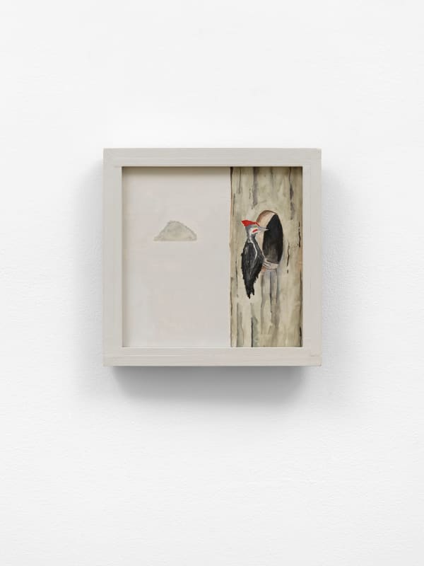 Noel McKenna, Home, 2023