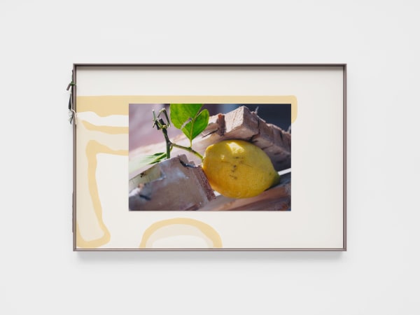 Magali Reus, Landings (2528.9, Lancelot), 2022