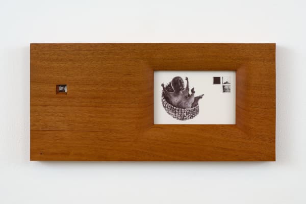 Em Kettner, Rear Window, 2024