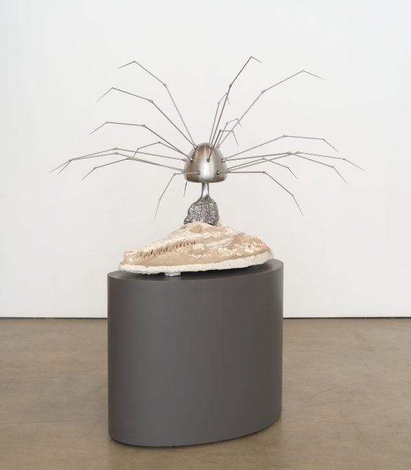 Max Hooper Schneider, Fossil Epizoon (dyrosaurus), 2021