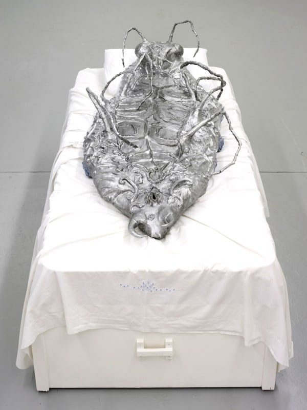 Candice Lin, Metamorphosis in space, 2013
