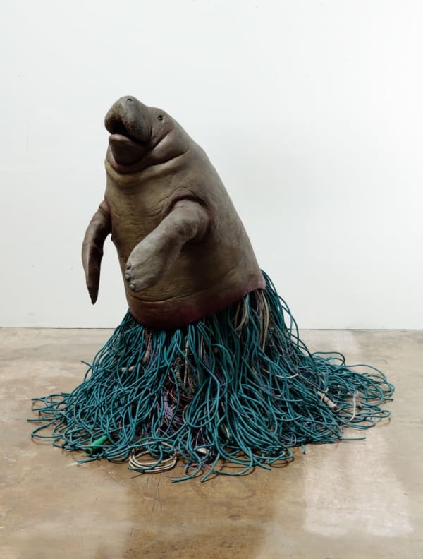 Max Hooper Schneider, Antemortem Sirenian, 2018