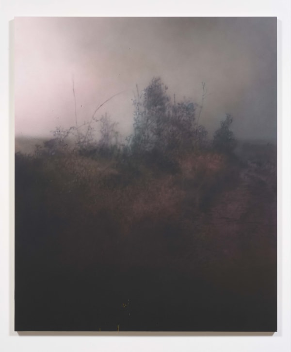 Sayre Gomez, Untitled Painting @dirkknibbe, 2014