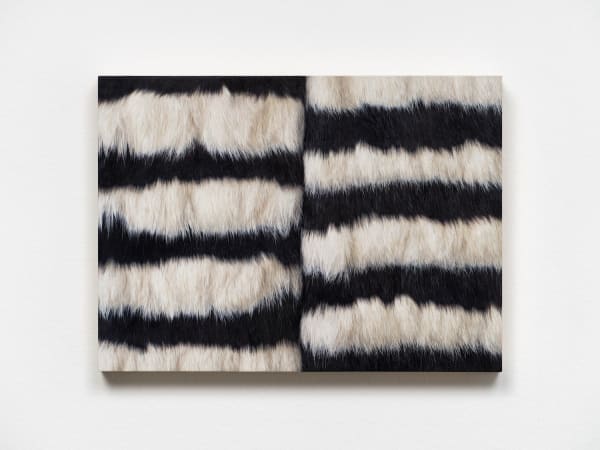 Victoria Gitman, Untitled, 2017