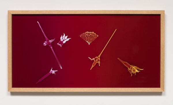 Kelly Akashi, Raspberry Protean, 2019