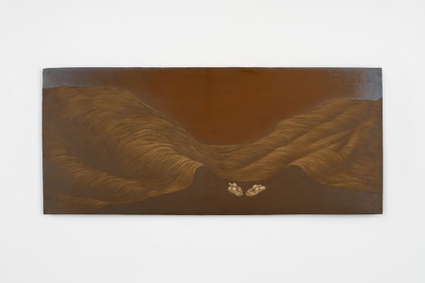 Roksana Pirouzmand, under a sheet of mountains, 2024