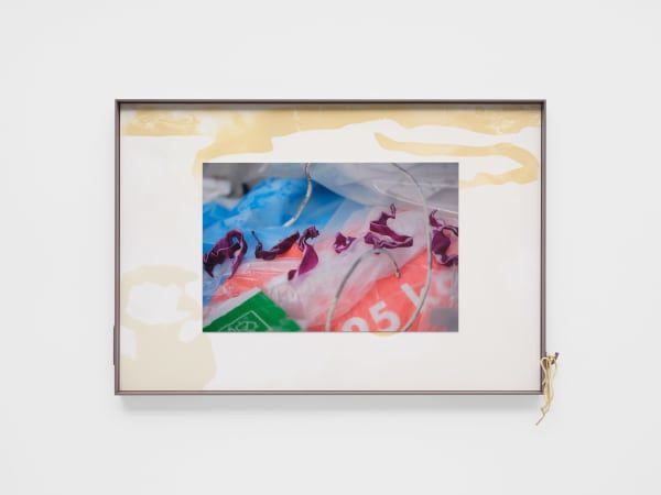 Magali Reus, Landings (August, Flotsam), 2022