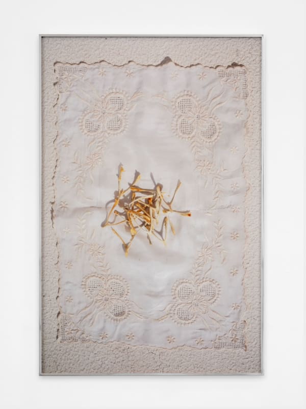 Farah Al Qasimi, Wishbones on Lace, 2022