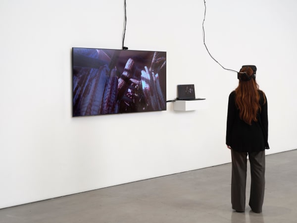 Rindon Johnson, Meat Growers: A Love Story, 2019