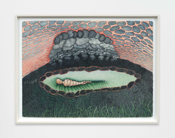 Ann Leda Shapiro, Union, 1982