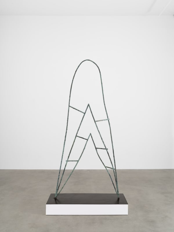 Camille Henrot, Amma's Door, 2014