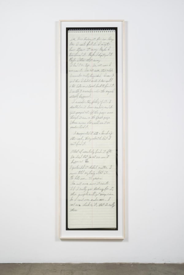 Mitchell Syrop, Hidden, 2014