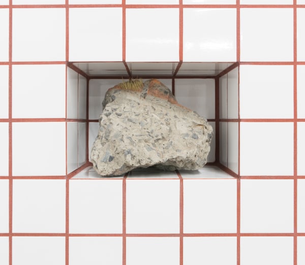 Zhang Ruyi, Planter–5, 2018