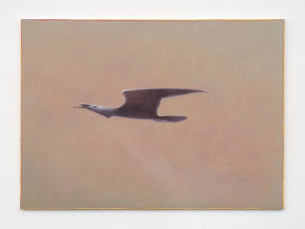 Ian Miyamura, morning gull in gentle ascent, 2024