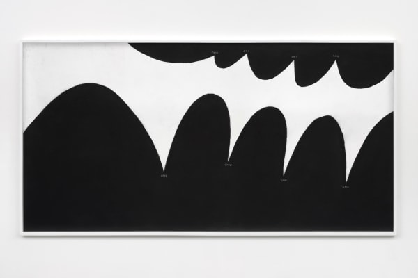 Christine Sun Kim, Long Echo, 2022