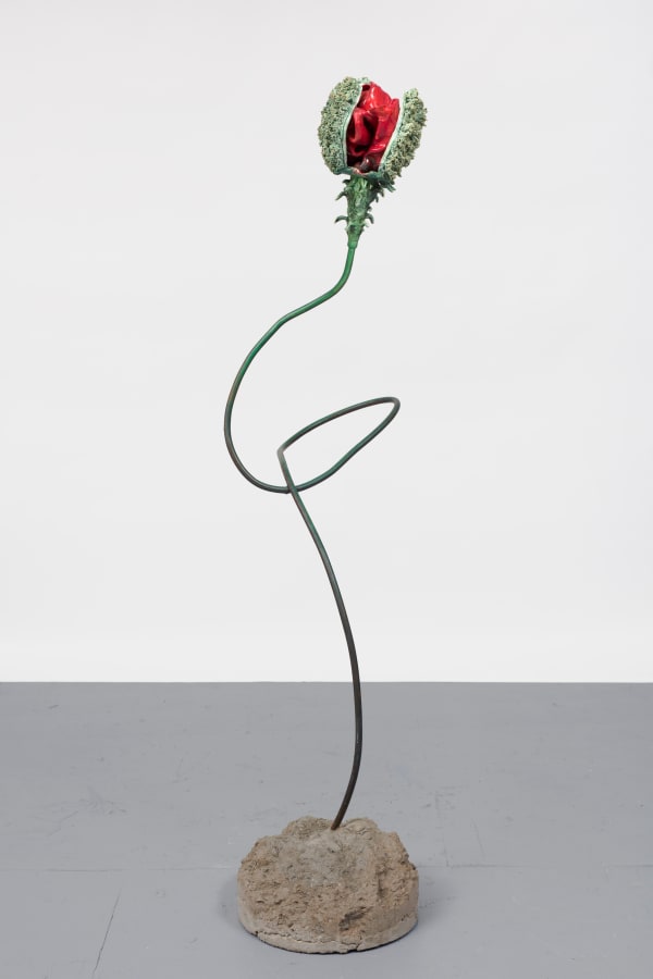 Rebecca Manson, Trampled Poppy, 2022