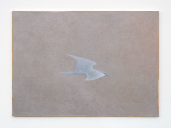 Ian Miyamura, gull in haze, 2024