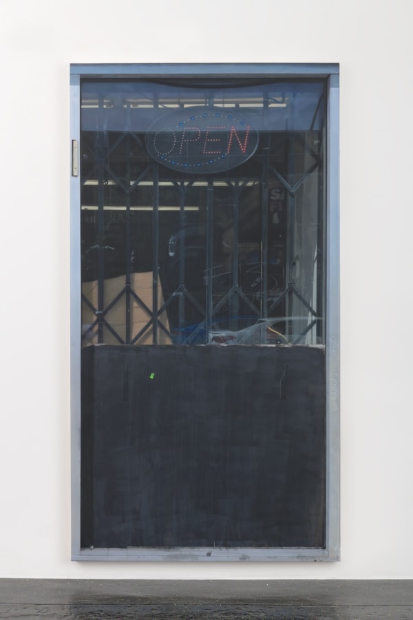 Sayre Gomez, Everything Must Go, (2), 2022