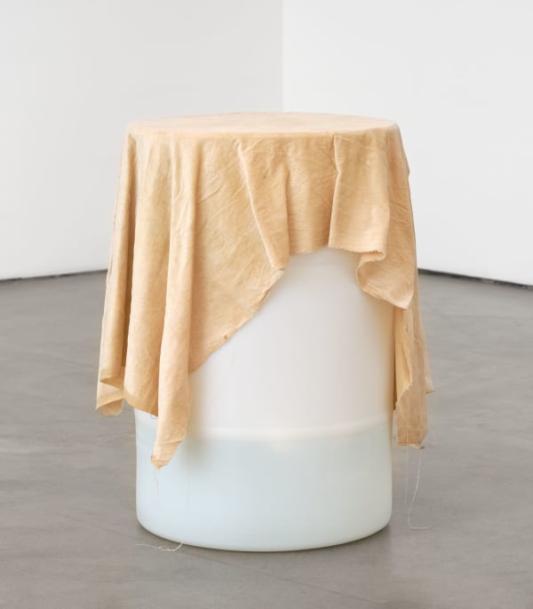 Quay Quinn Wolf, It didn't matter how much I cleaned or how often I refreshed the flowers, 2025