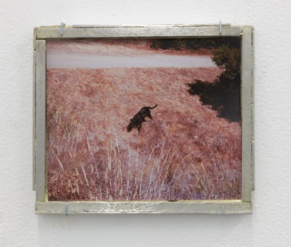 Em Rooney, Getting There (All Quill's are Reincarnated) For Sheilah and Dani ReStack: Part 2, 2019