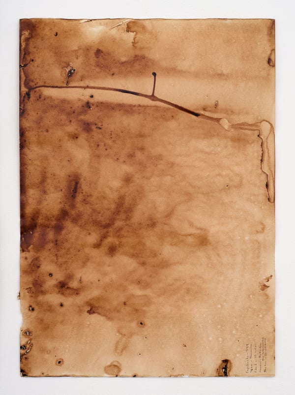 Teresa Margolles, Papeles de la Morgue, 2003