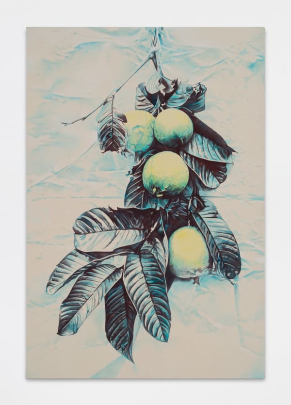 Becca Mann, Lemon Guava, 2018