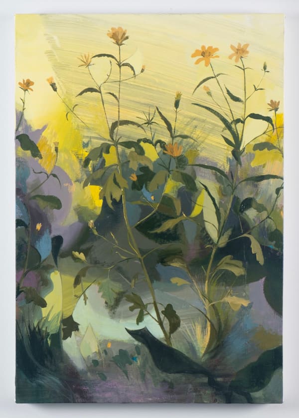 Matt Bollinger, Spanish Needles, 2024