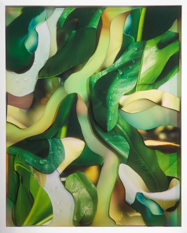 Maria Munar, Preserved Bouquet #7