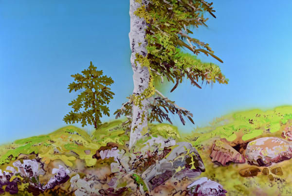 Sheila Kernan, Nice To Meet You