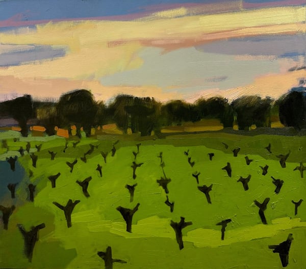 Drew Klassen, Vineyard and Olive Grove, Portugal