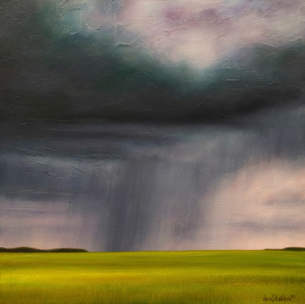 Ian Sheldon, Spring Fields & Rain