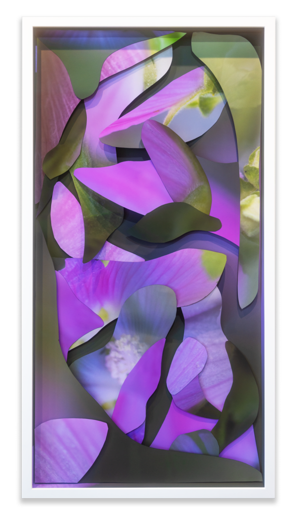 Maria Munar, Thrive Musk Mallow