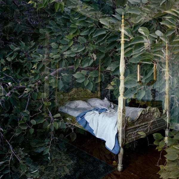 Joanna Johnston, Don't Fall