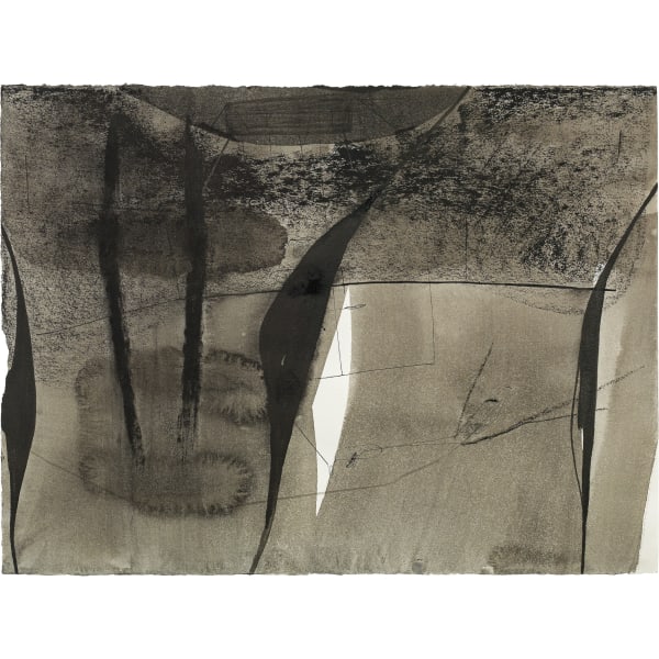 Tobias Pils, o.T. (aus der Serie "Gärten"), 2001