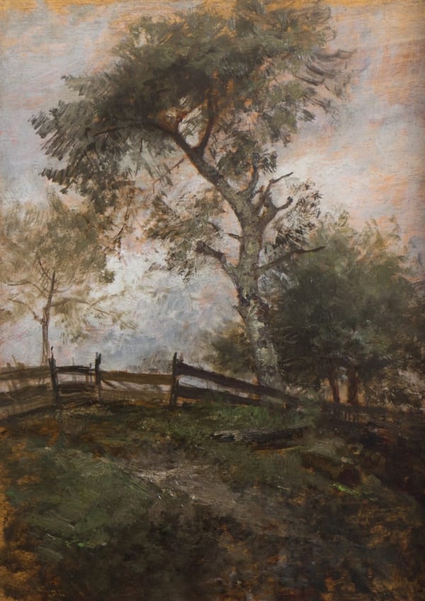 Emil Jakob Schindler, Baumstudie