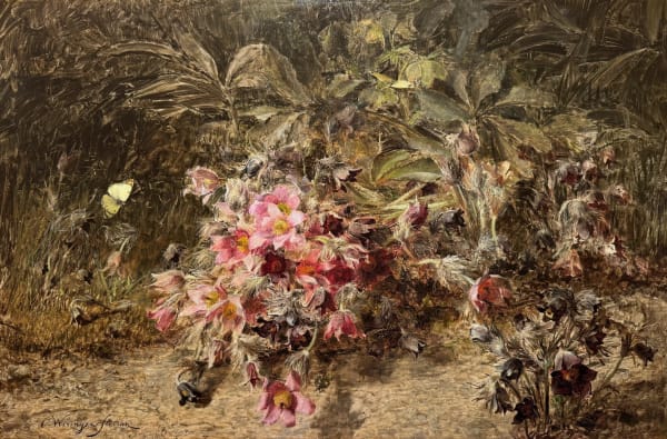 Olga Wisinger-Florian Küchenschellen, 1887 Öl auf Holz 43 x 65,5 cm links unten signiert: "O. Wisinger-Florian" rückseitig auf Etikett eigenhändig betitelt und bezeichnet: "Anemonen pulsatilla, Ölgemälde von Olga Wisinger-Florian, Wien IV, Wienstrasse 9"