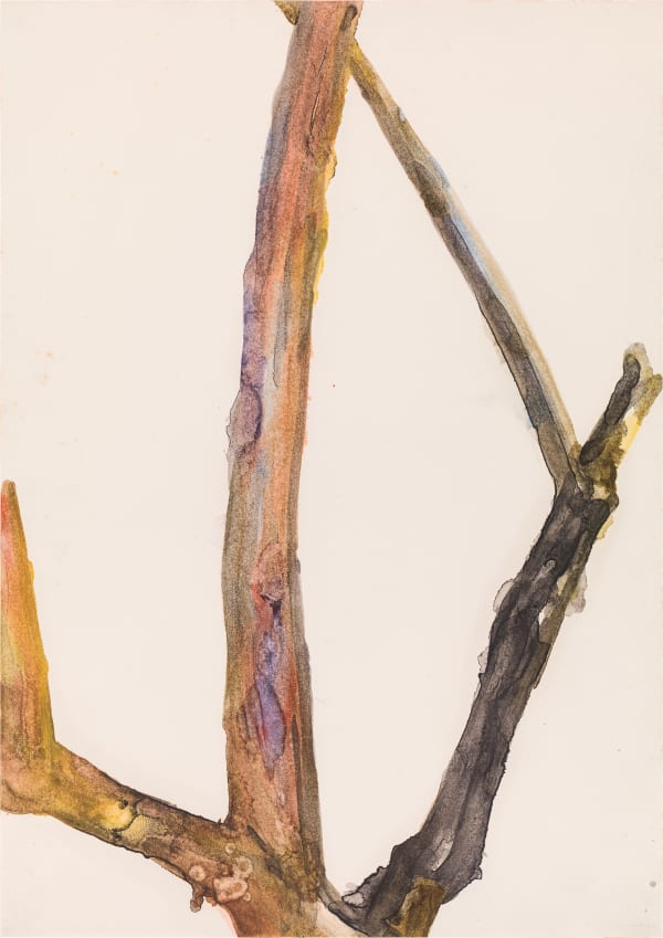 Gottfried Mairwöger, "Hollunderstaude I", 1975 (Mai)